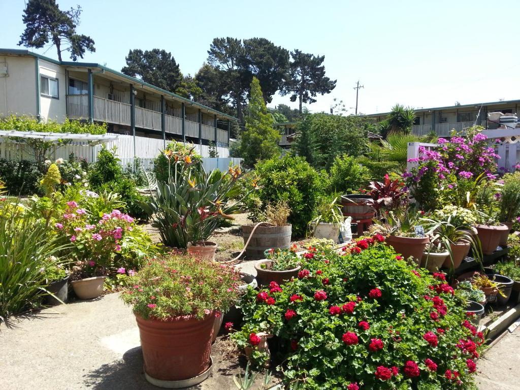 Travel Inn Vallejo Exterior photo